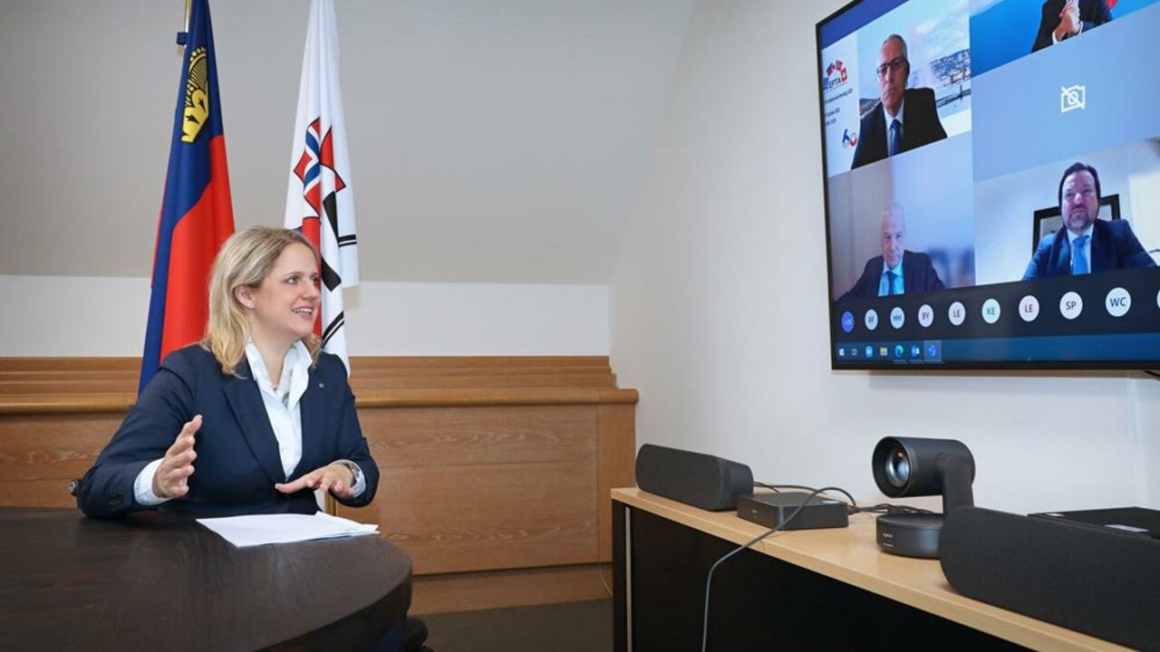 Regierungsrätin Katrin Eggenberger mit den Teilnehmern der Videokonferenz zum EFTA-Ministertreffen